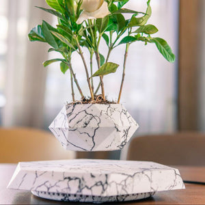 Marble White